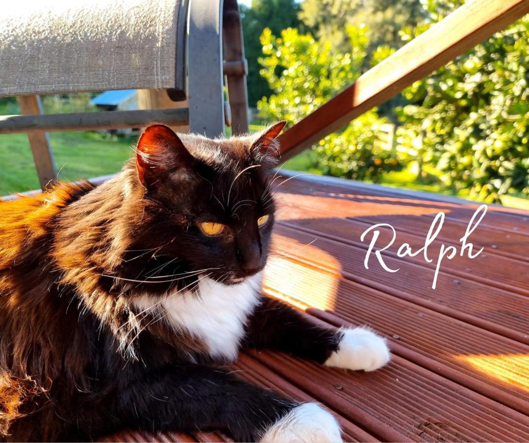 Swiss-Kiwi Cottage And Retreat, B&B Tauranga Bagian luar foto